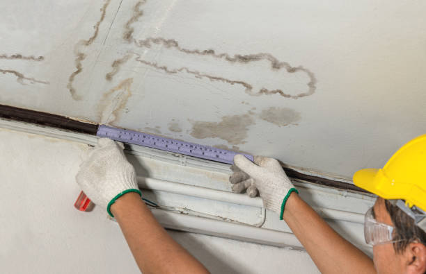 Reliable Water Damage Repair contractor in Eden, NC by Hirex Water Damage
